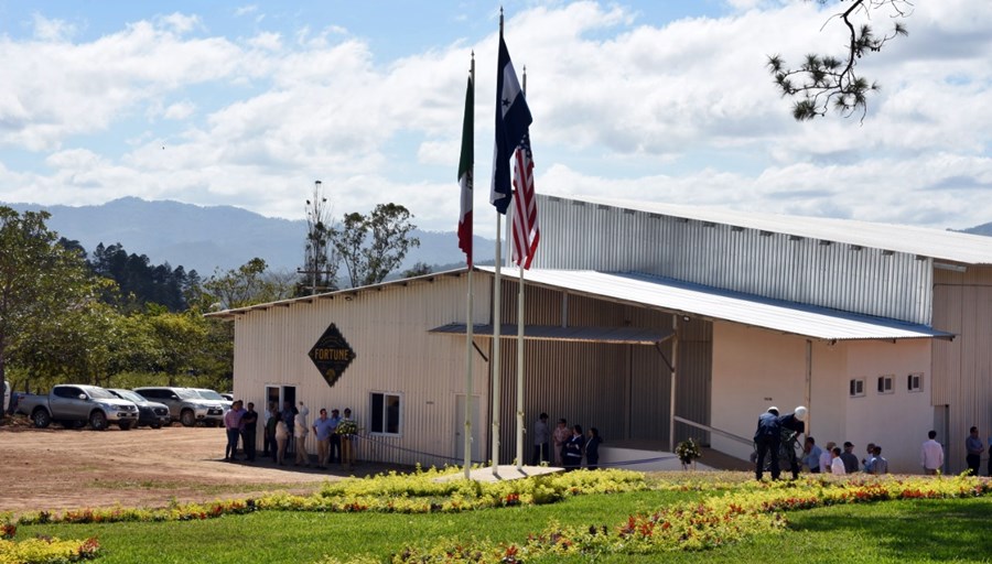 La procesadora de café más grande de América Latina está en Honduras