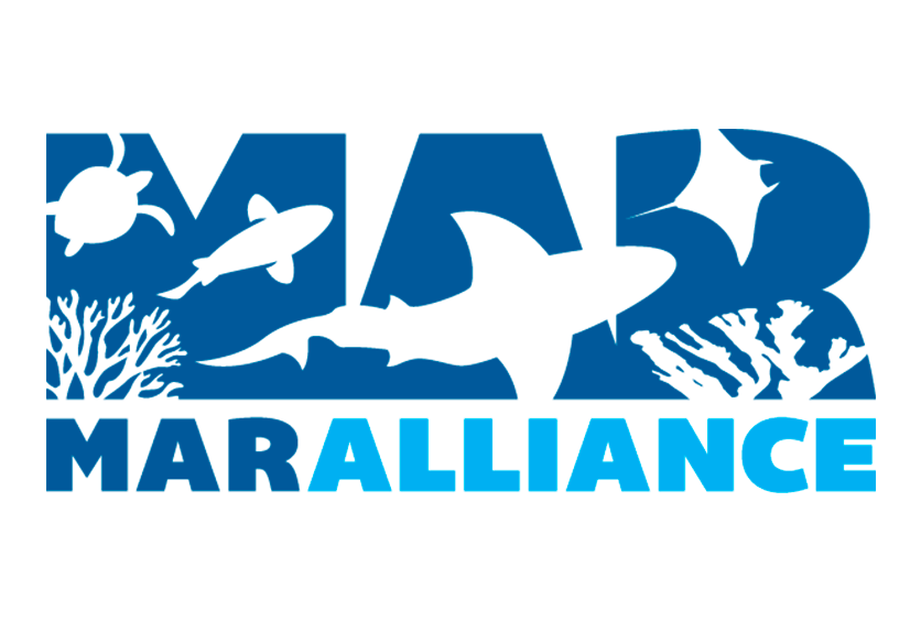 Mar Alliance, organización en Honduras