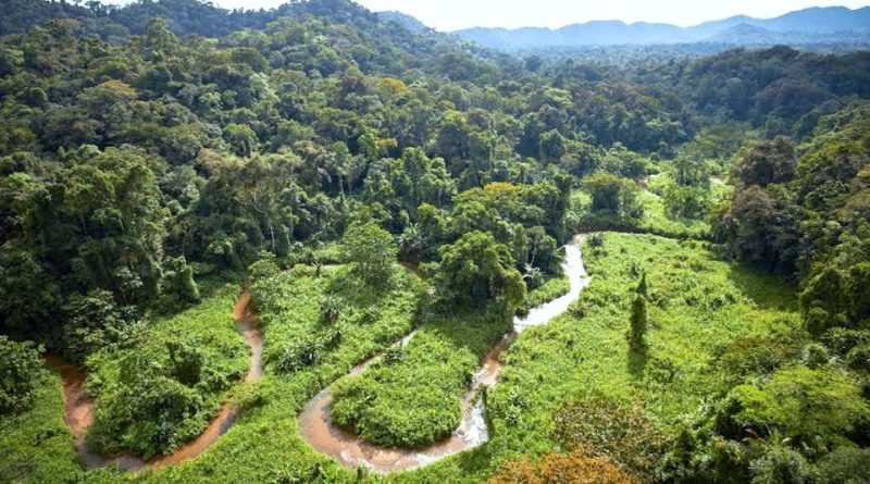 Río Plátano de Honduras