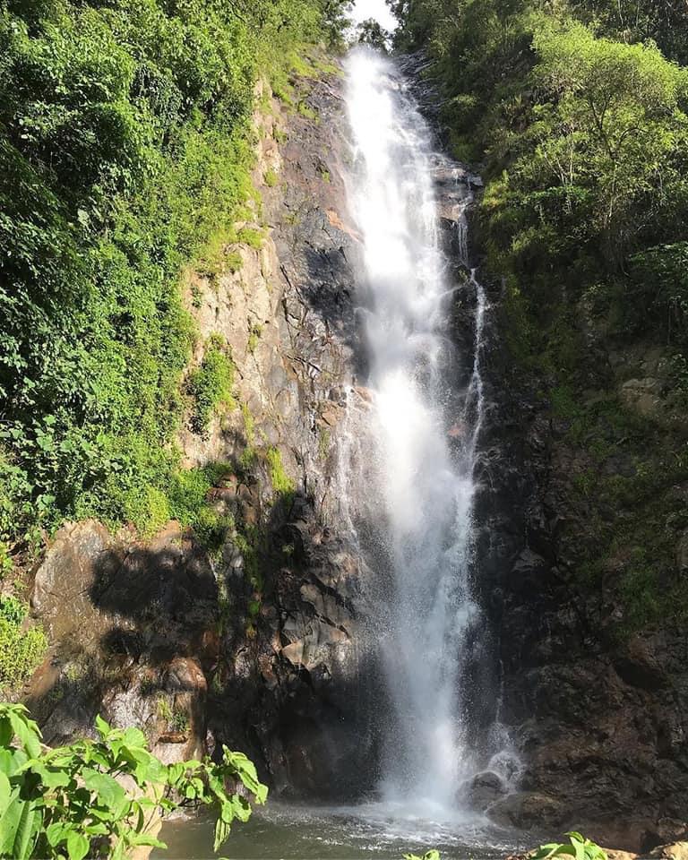 La reserva biológica «El Güisayote», Ocotepeque