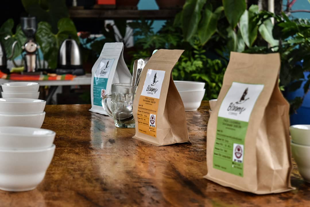 Blooms Coffee, café hondureño, sobresale en todo el mundo