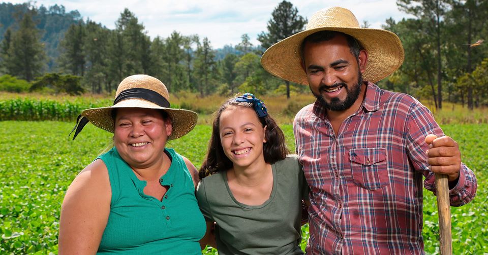 Olagro.org primera plataforma hondureña de productos agrícolas