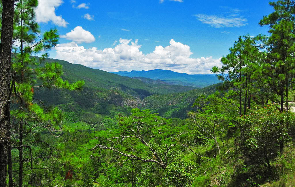 Parque Nacional Sierra de Agalta