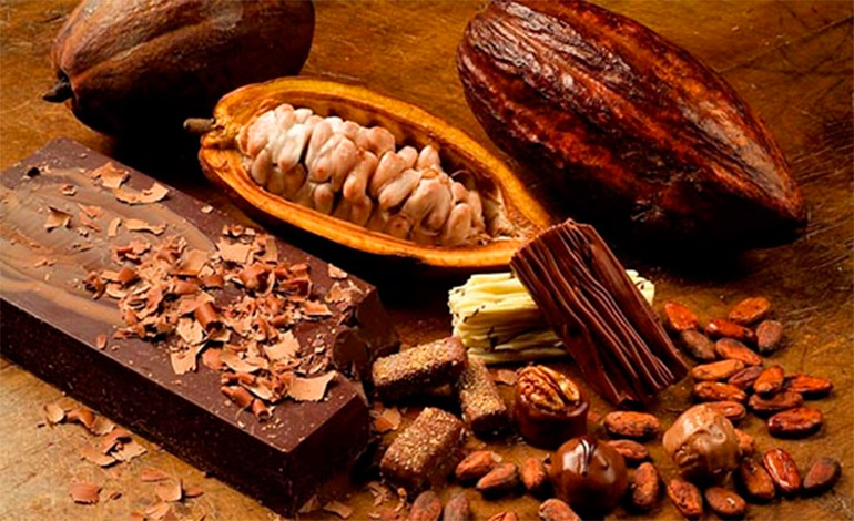 National Geographic destacó a Honduras como país de origen del cacao