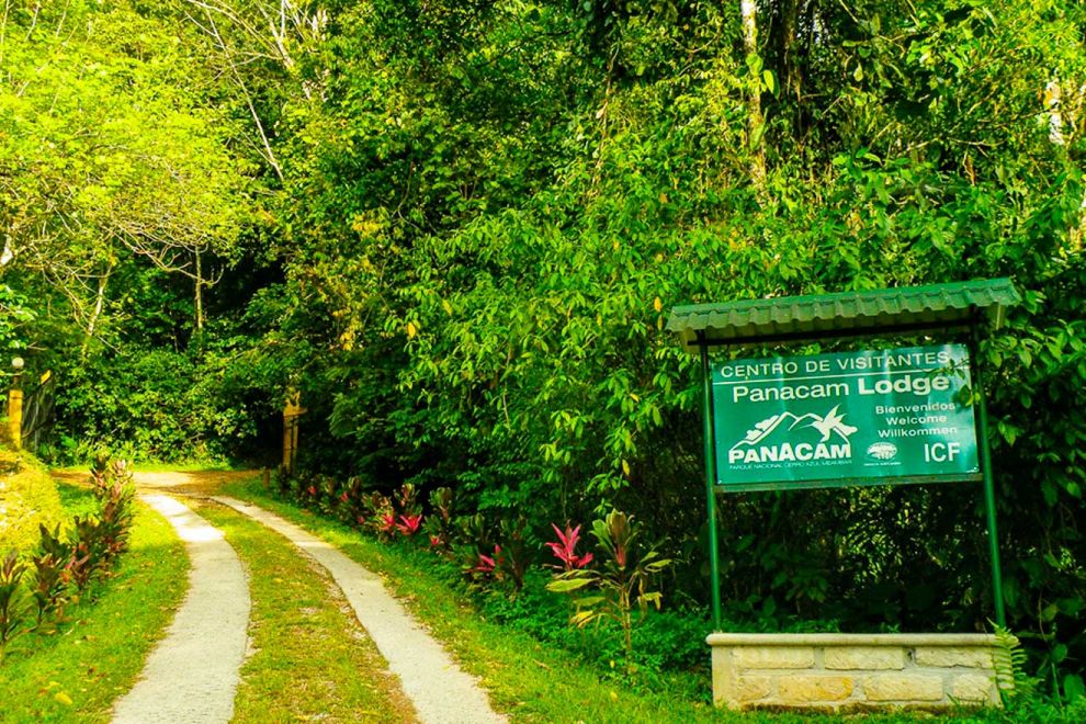 Colibríes ayudan a recuperar el turismo en Honduras