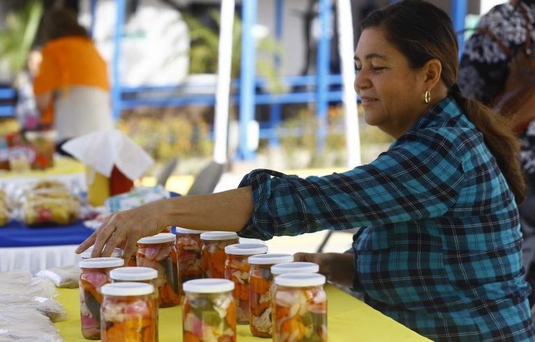 Naranja Republik, programa para emprendedores hondureños