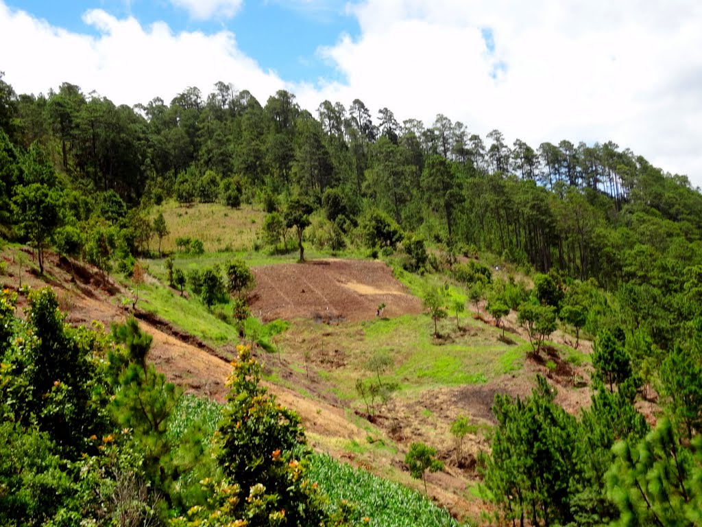 Parque Nacional Montaña de Yoro