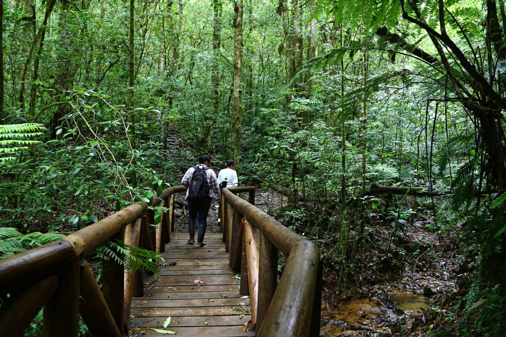 Parque Nacional «La Tigra»