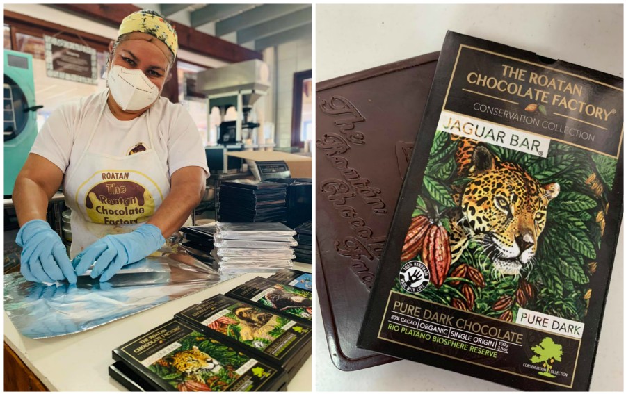 Chocolate hondureño se vende en zoológicos de Nueva York