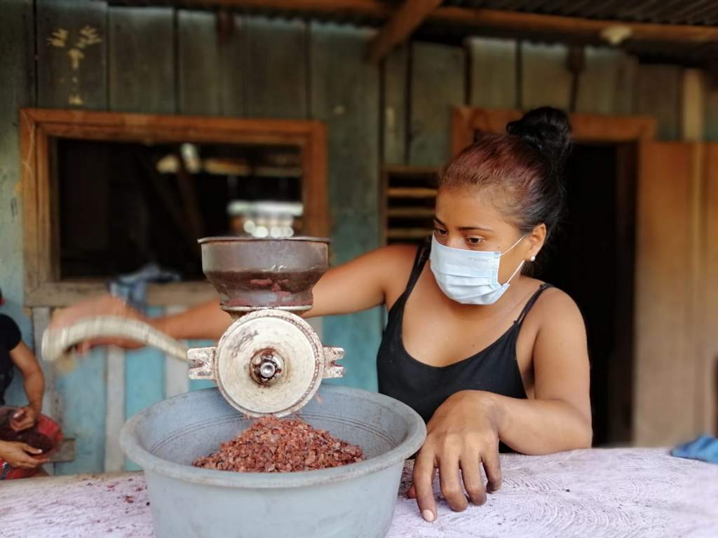 Crearán un nuevo cento de copio de cacao en wampusirpi