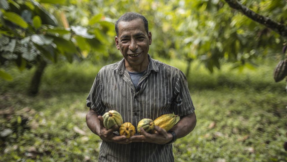 Crearán un nuevo centro de acopio de cacao en Wampusirpi