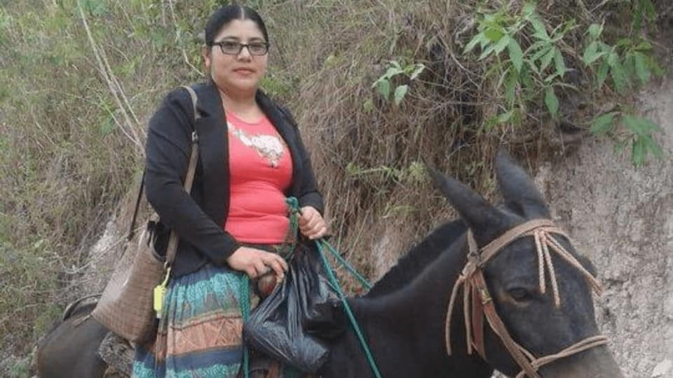 Maestra hondureña recorre kilómetros en mula para ayudar a sus alumnos