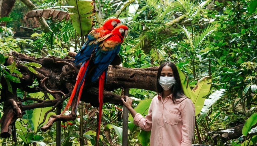 Macaw Mountain en Honduras abre sus puertas nuevamente