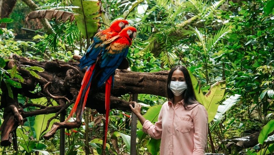 Macaw Mountain en Honduras abre sus puertas nuevamente