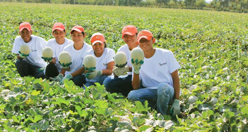 Empresa hondureña Agrolíbano, ganó premio mundial en Suecia