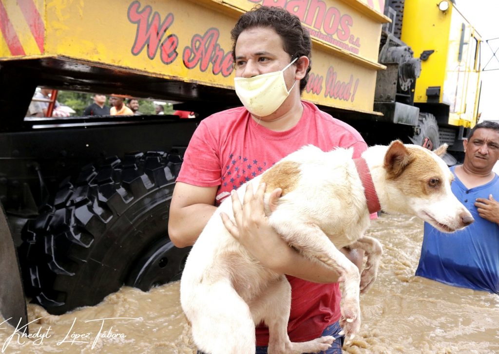 Hondureños rescatan animales durante depresión tropical ETA