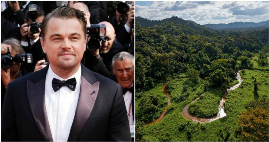 Leonardo DiCaprio pide ayuda para La Mosquitia, Honduras