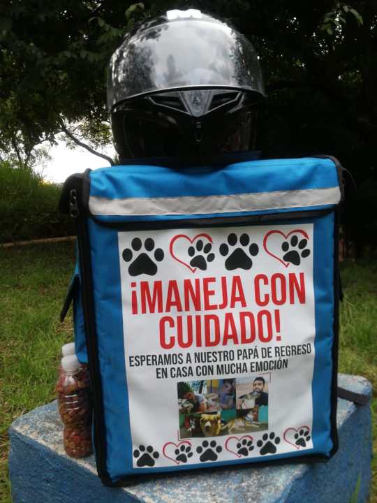 Hondureño alimenta a los animales callejeros con sus ganancias 