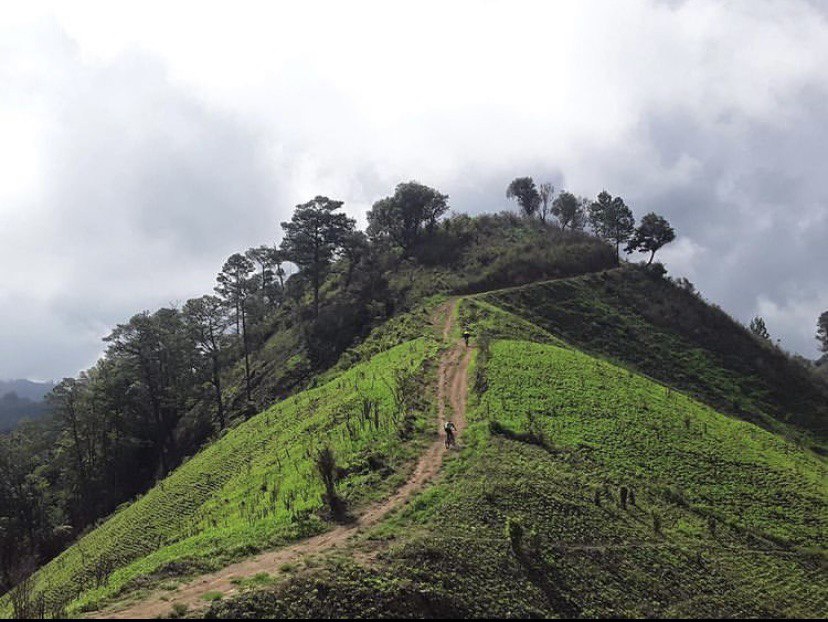 Cordillera Mico Quemado, área protegida