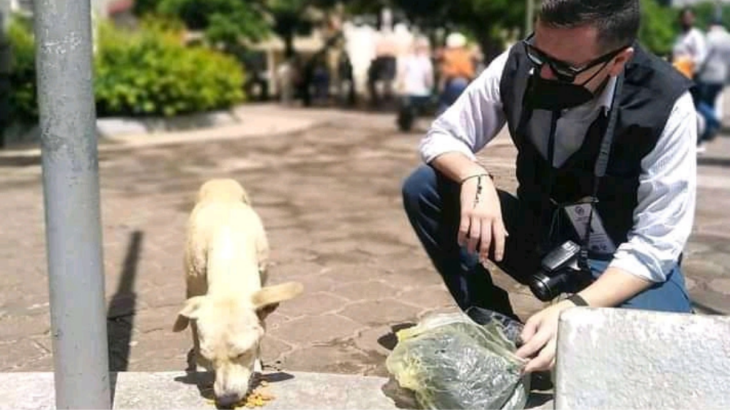 Crean una plataforma para rescatar y adoptar animales en Honduras