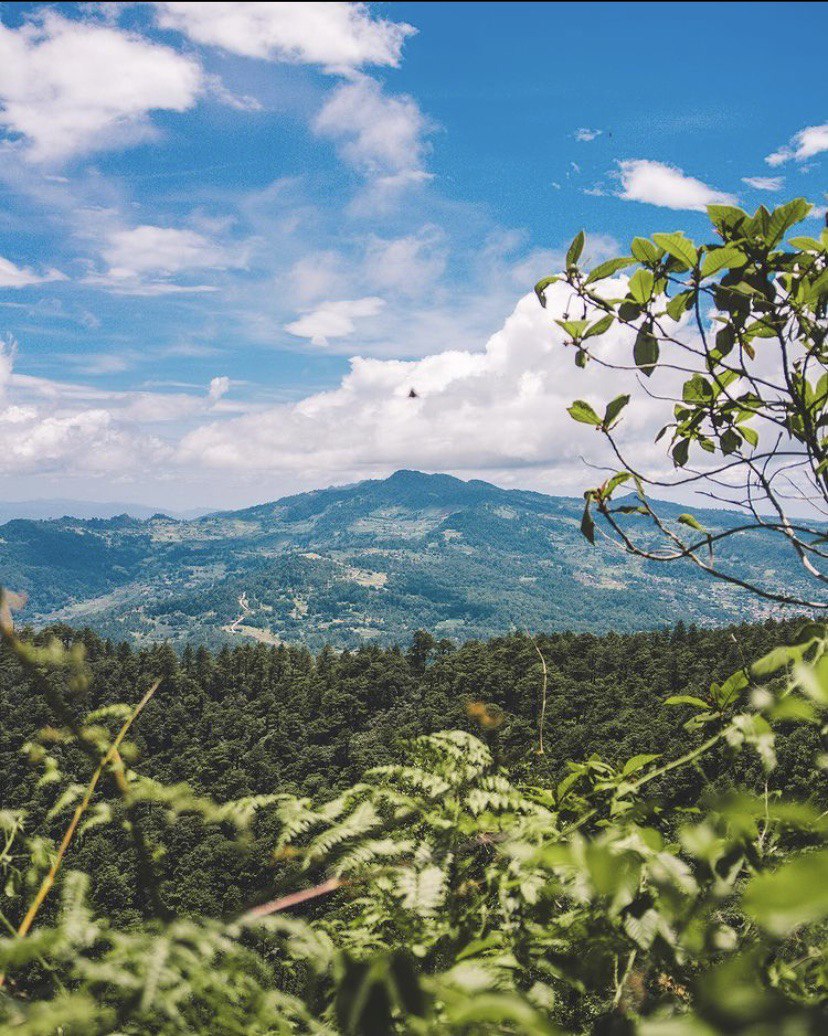 Reserva biológica Uyuca, Francisco Morazán