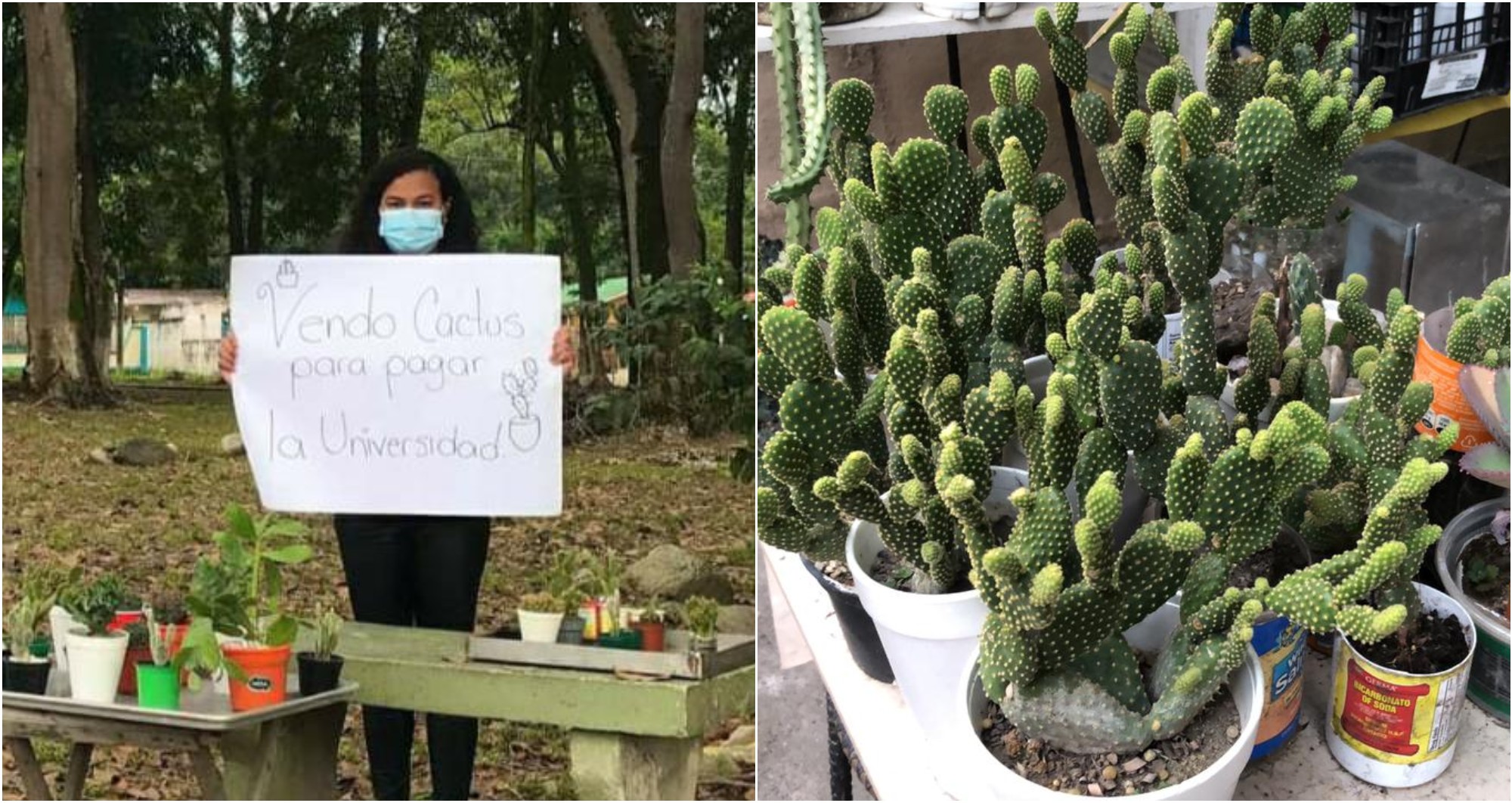 Hondureña vende cactus para pagar la universidad
