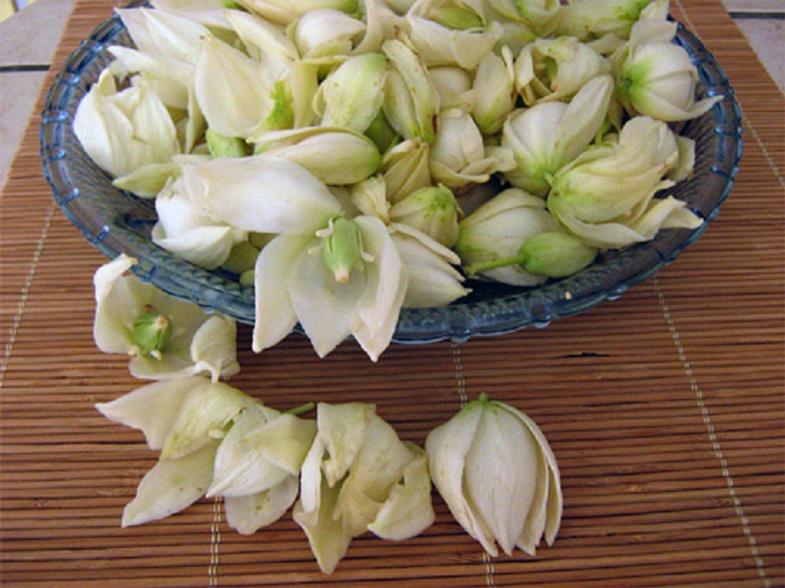 Receta Flor de Izote con huevo, un típico desayuno hondureño