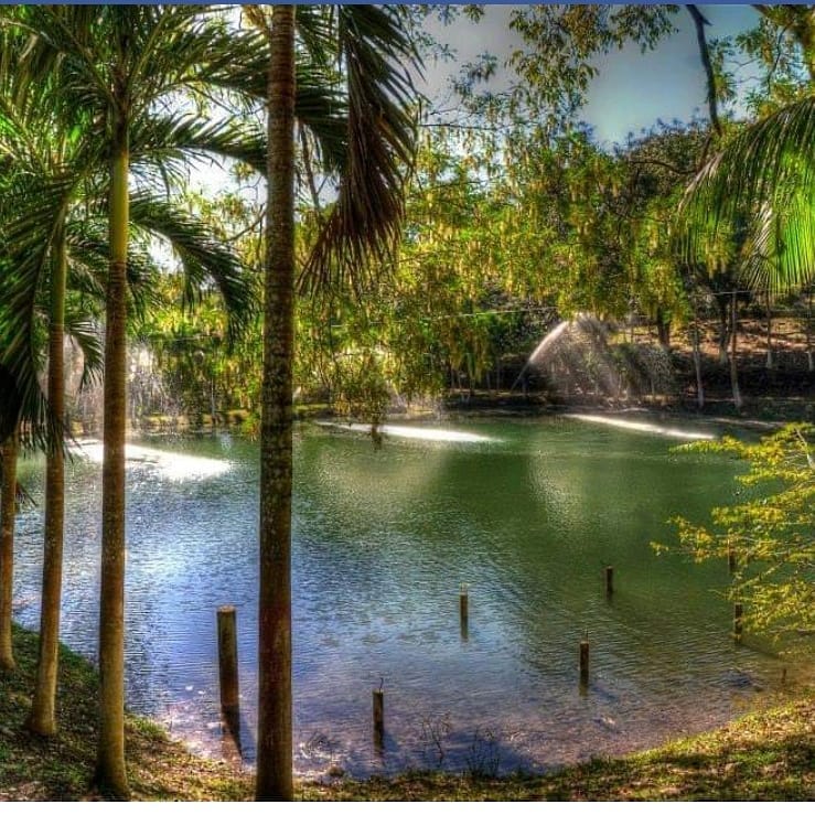 Parque Eco-turístico «El Ocote», tiene hermosas cabañas en medio del bosque