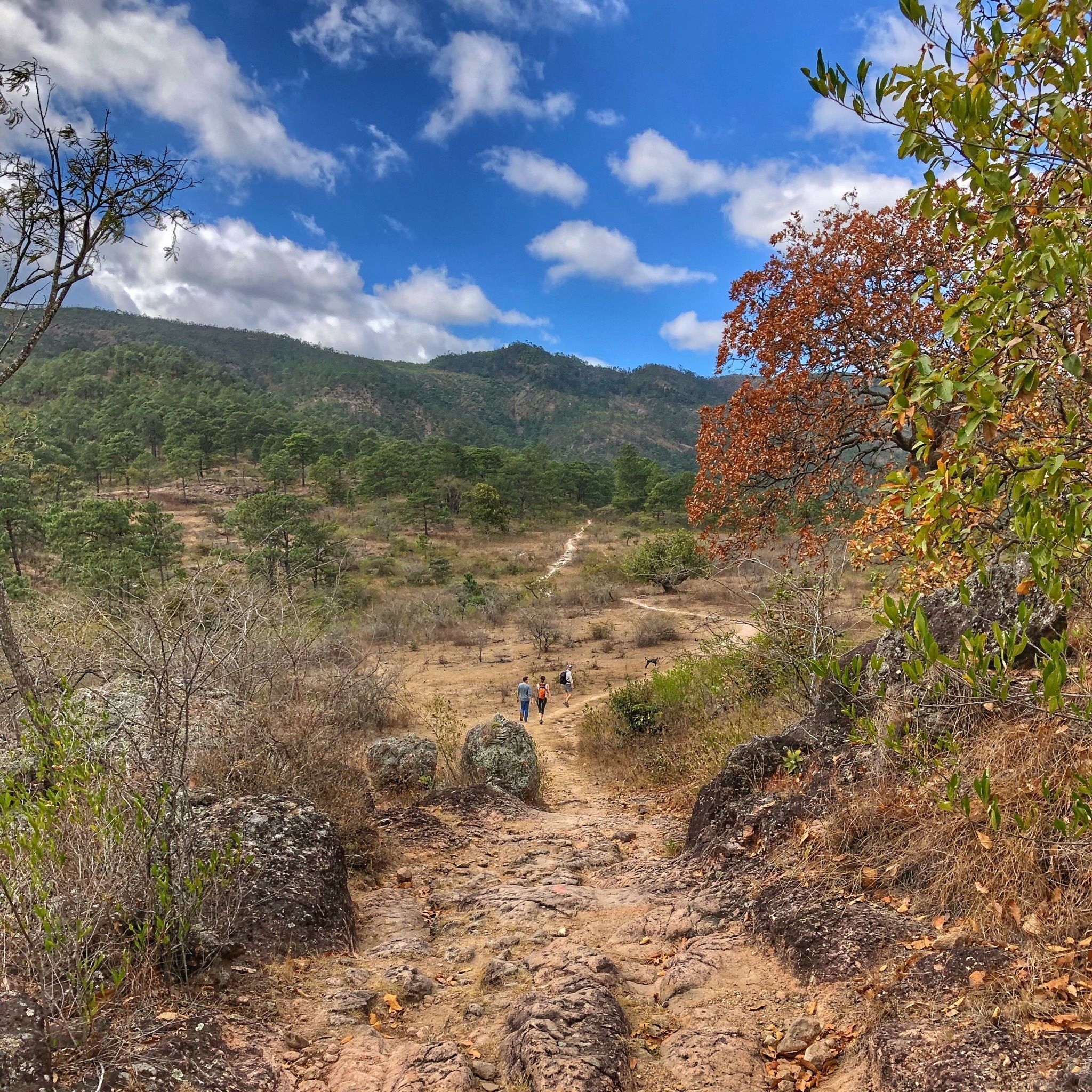 Cerro La Mesa, una actividad para disfrutar de la naturaleza