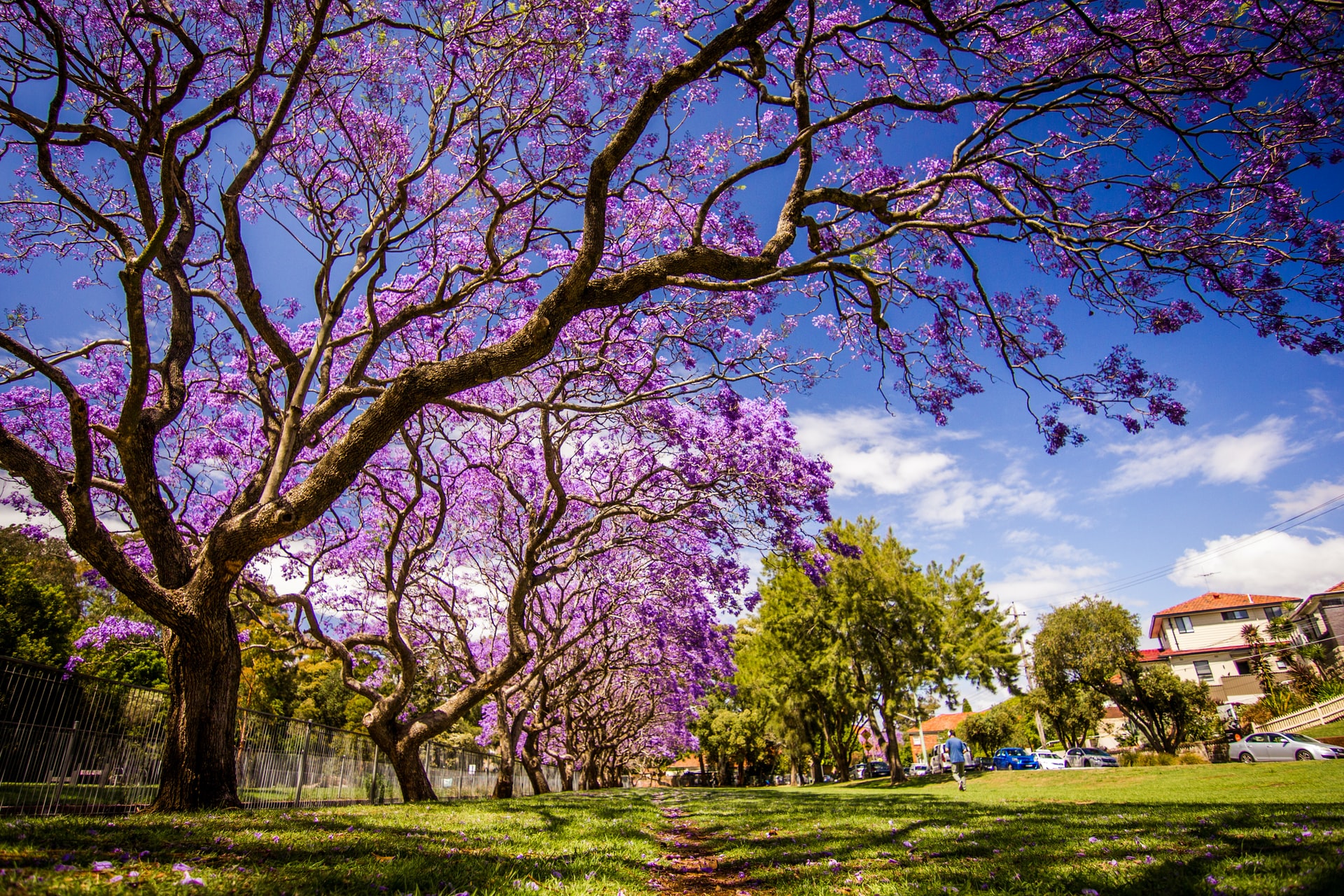 Actividades de Semana Santa en Honduras para este 2021