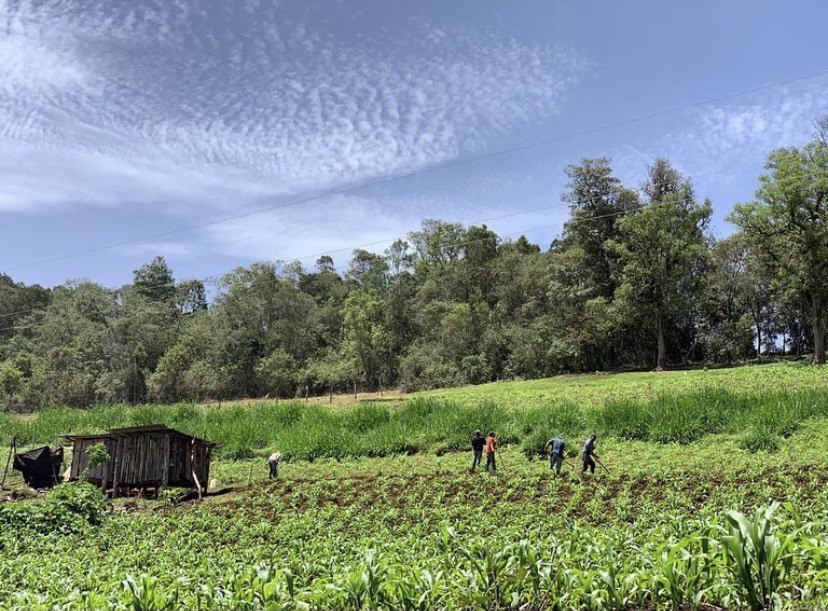 Aldea de Cofradía en Yamaranguila, Intibucá