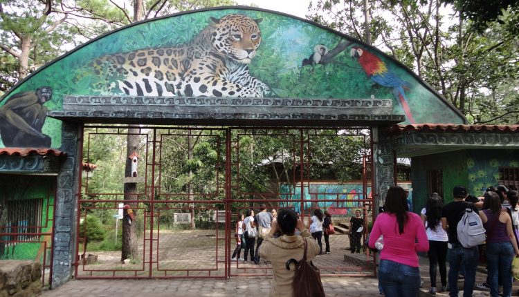 Zoológico El Picacho reabre sus puertas en Honduras