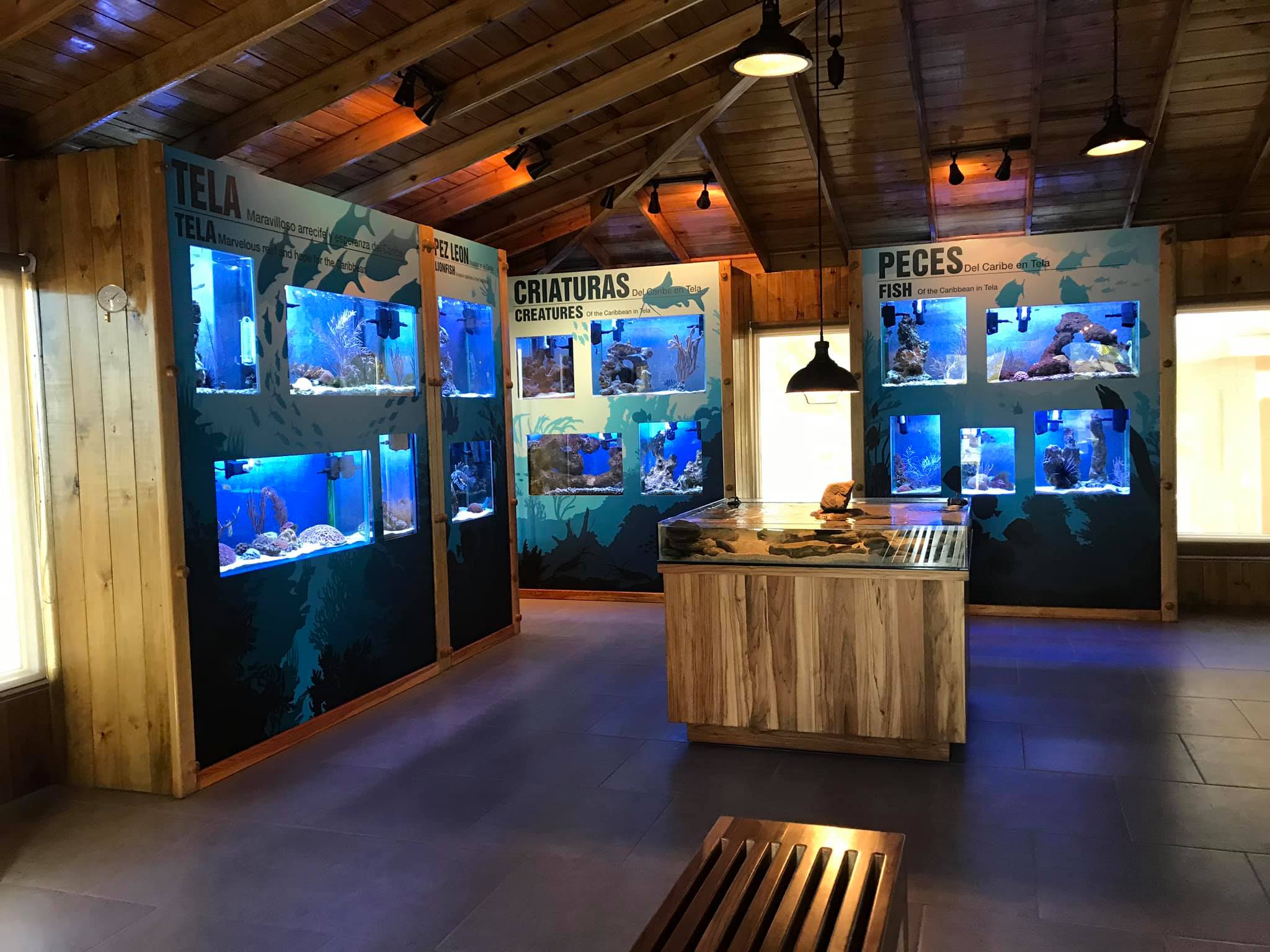 Tela Marine Center, un lugar para disfrutar de la vida marina