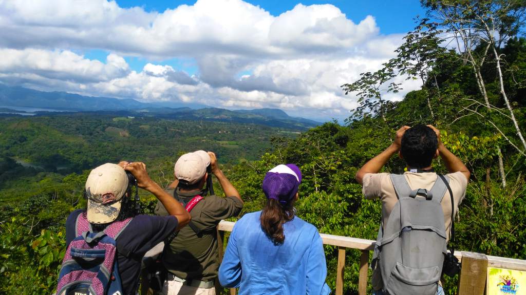 Este sábado se celebra el Global Big Day en Honduras y todo el mundo