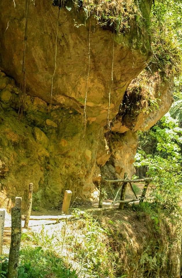 Sendero Las Golondrinas, Un espacio verde para relajarte