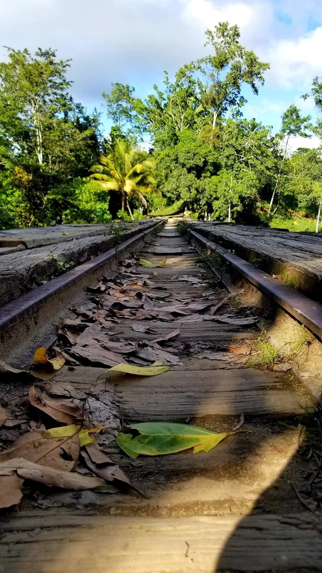 El curioso puente de Jutiapa, Atlántida