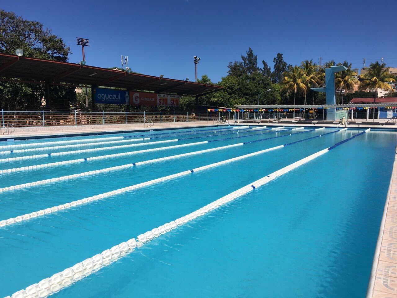 Se reactiva la natación en el Complejo Deportivo José Azcona