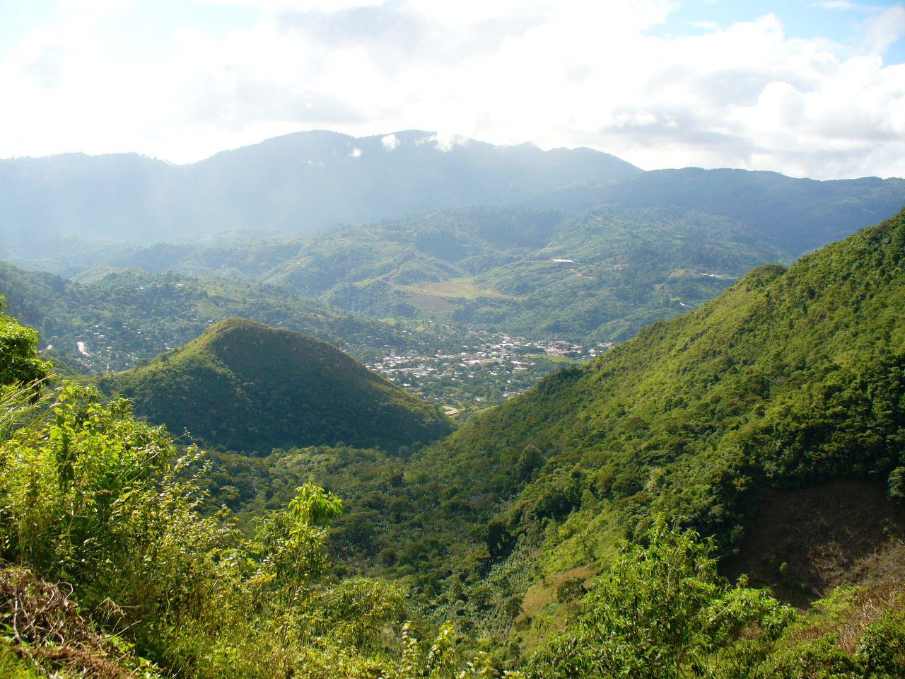 Crean corredor biológico en Honduras para proteger especies