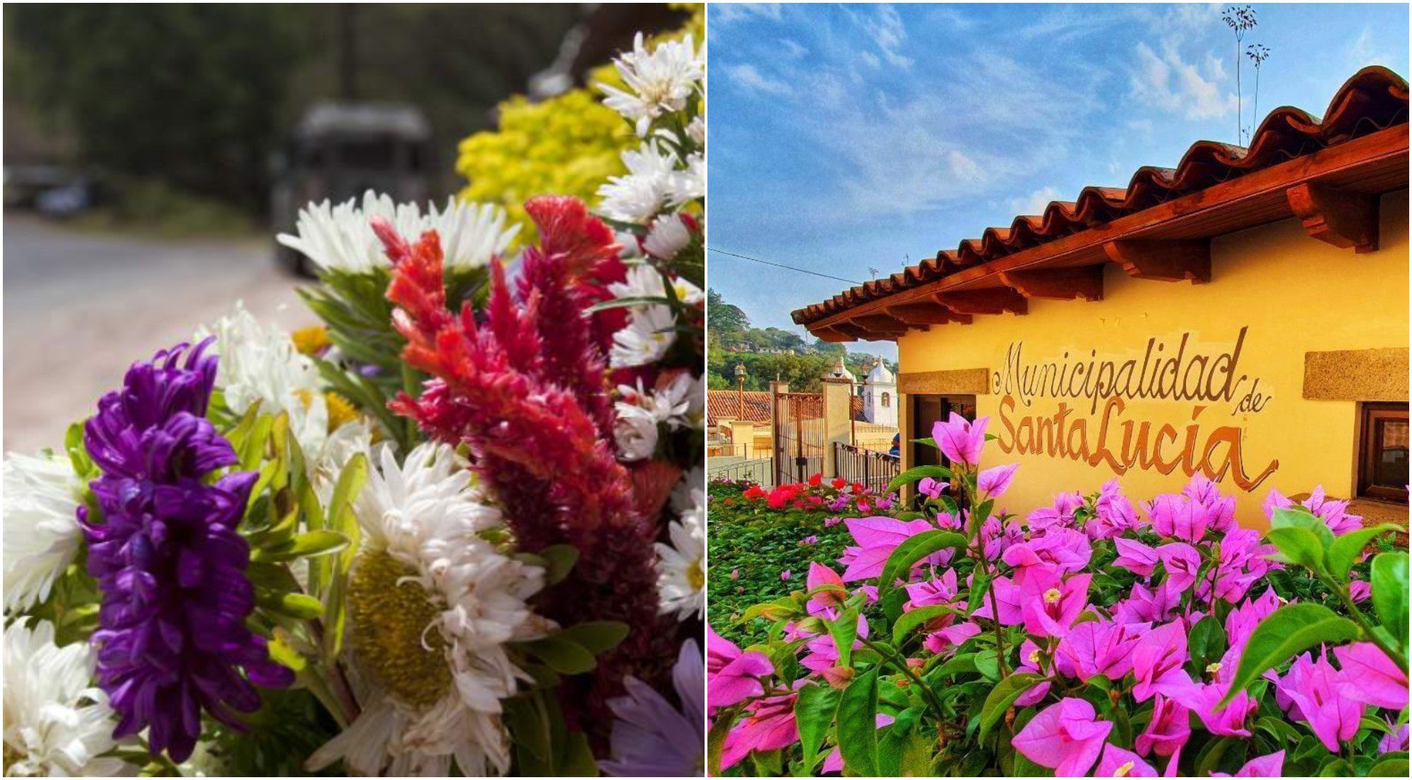 El Festival de las Flores en Santa Lucía será este 10 y 11 de julio