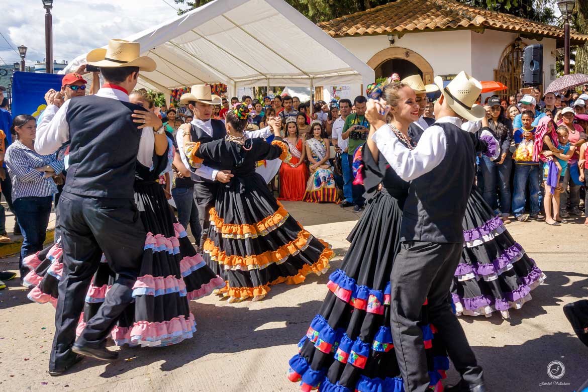 El Festival del Choro y el Vino se llevará a cabo en octubre