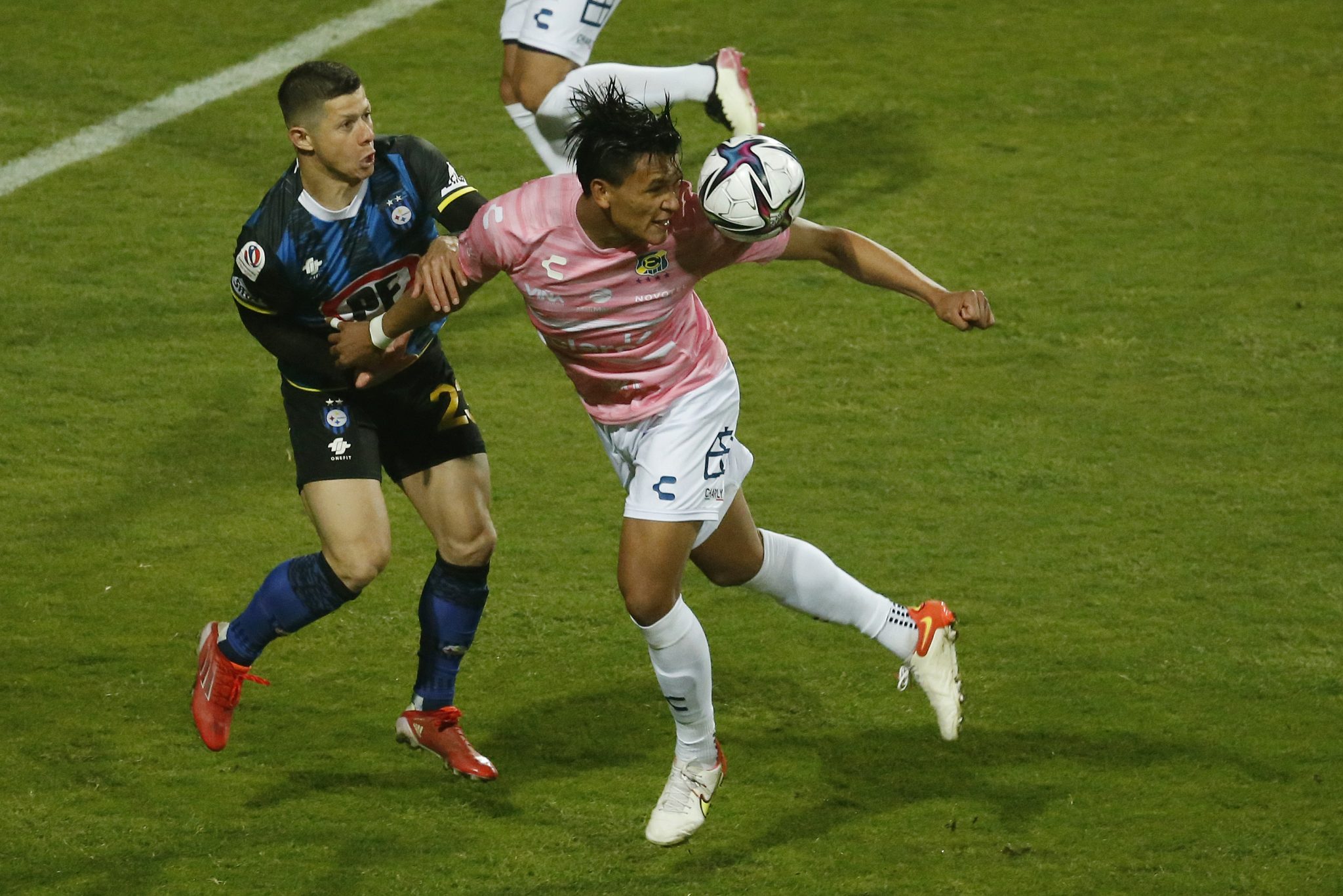 Denil Maldonado realiza enorme gesto con seguidor del Everton de Chile