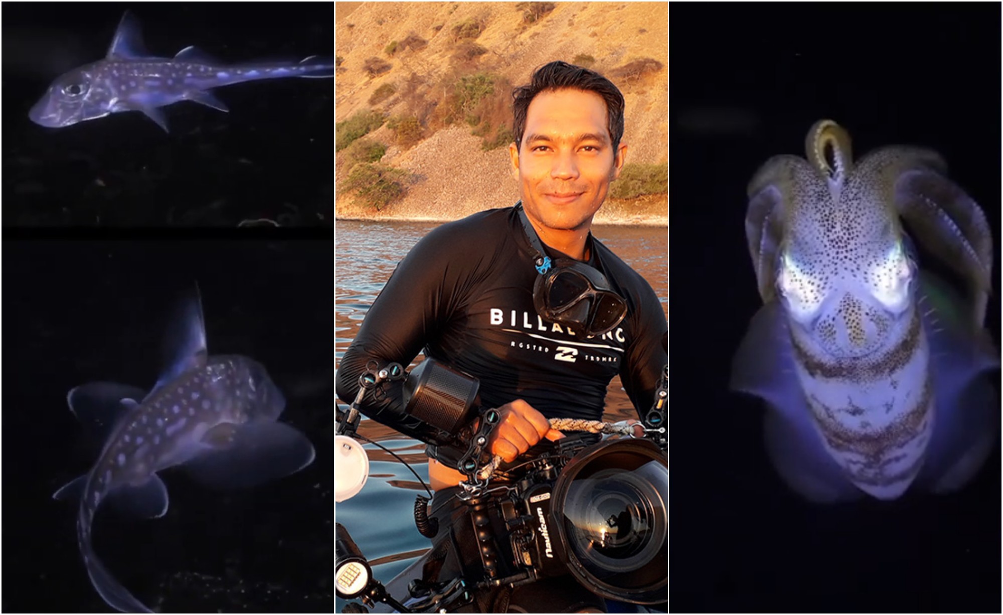 Hondureño destaca por tomar fotografías de criaturas submarinas