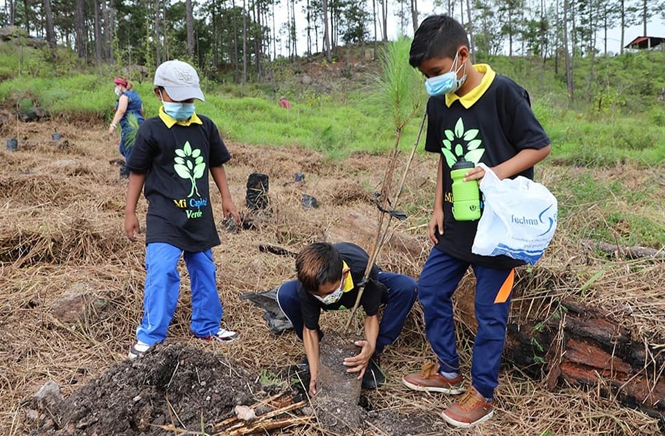 Crean jornada de reforestación en La Tigra con más de 500 pinos