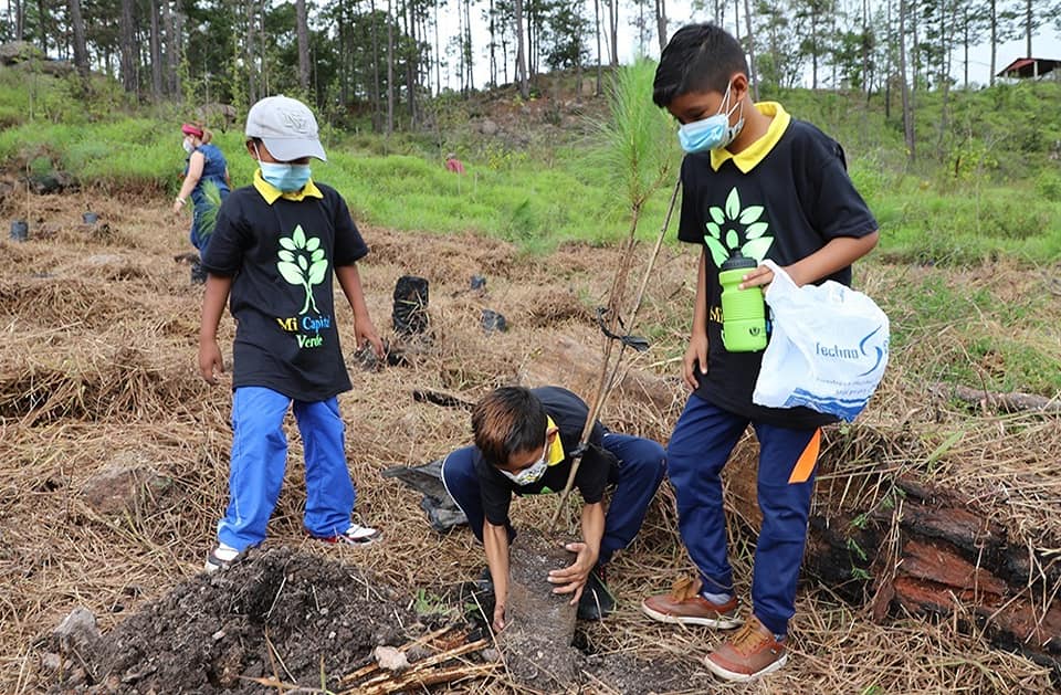 Crean jornada de reforestación en La Tigra con más de 500 pinos