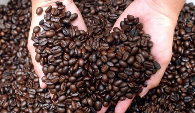 Honduras entre los 10 principales productores de café del mundo