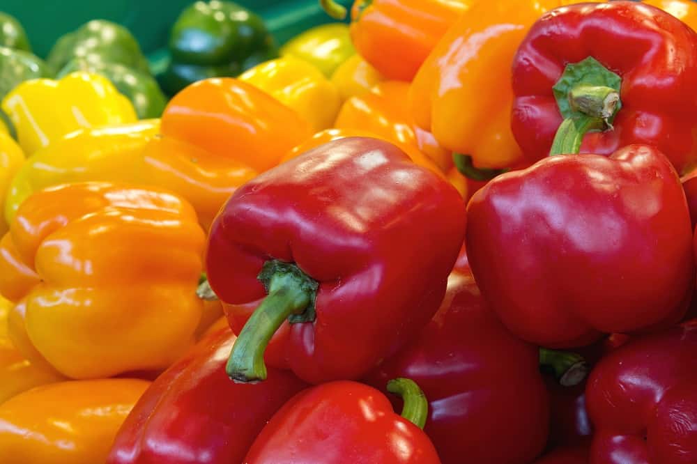 Honduras es el país con mayor producción de chile bell peppers