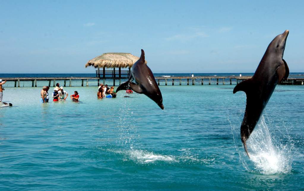 Revista The Travel destacó los atractivos turísticos de Roatán