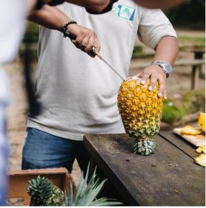 Tour de la Piña en El Porvenir, Atlántida