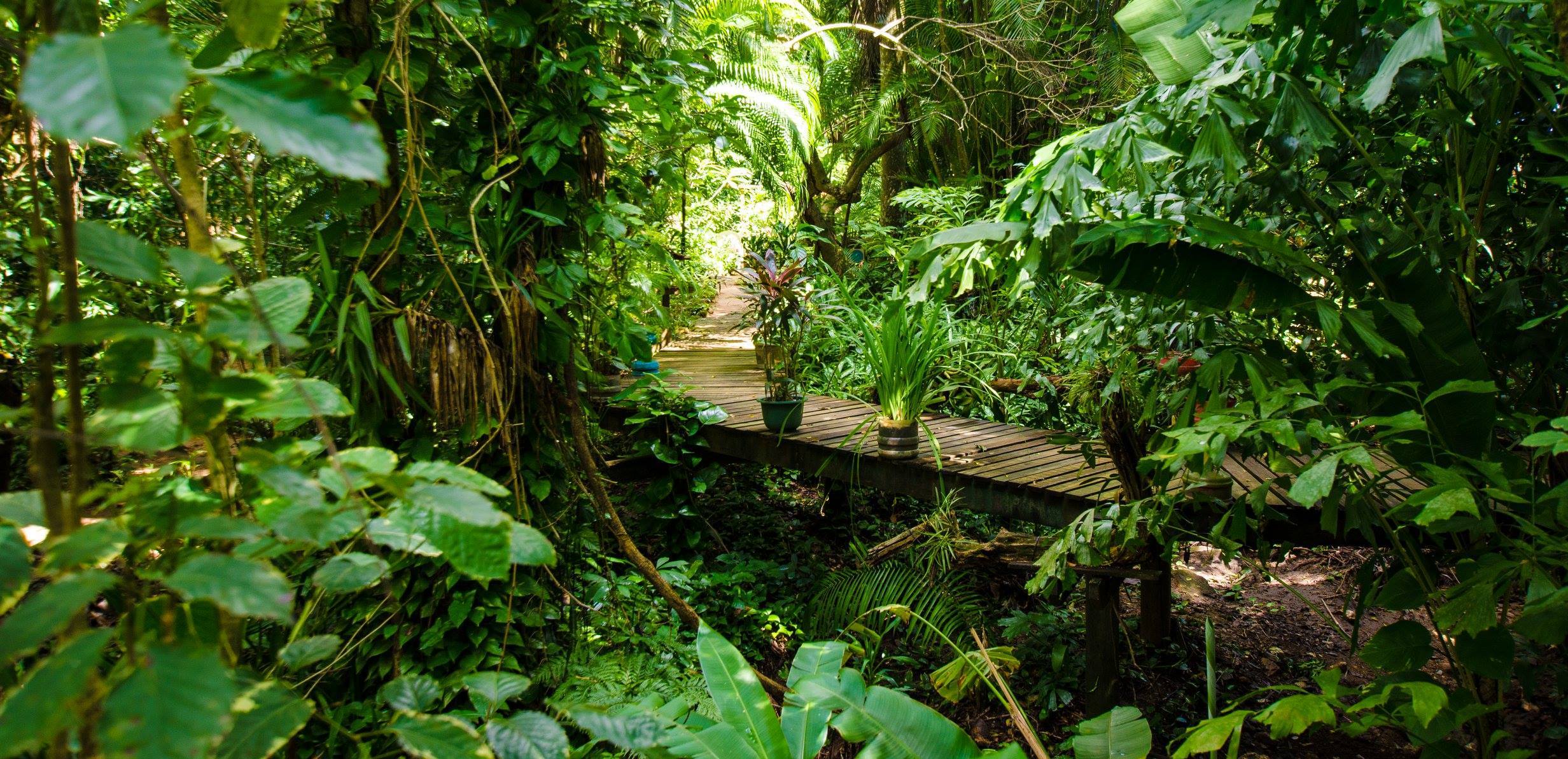 Jardín Botánico Carambola en Roatán