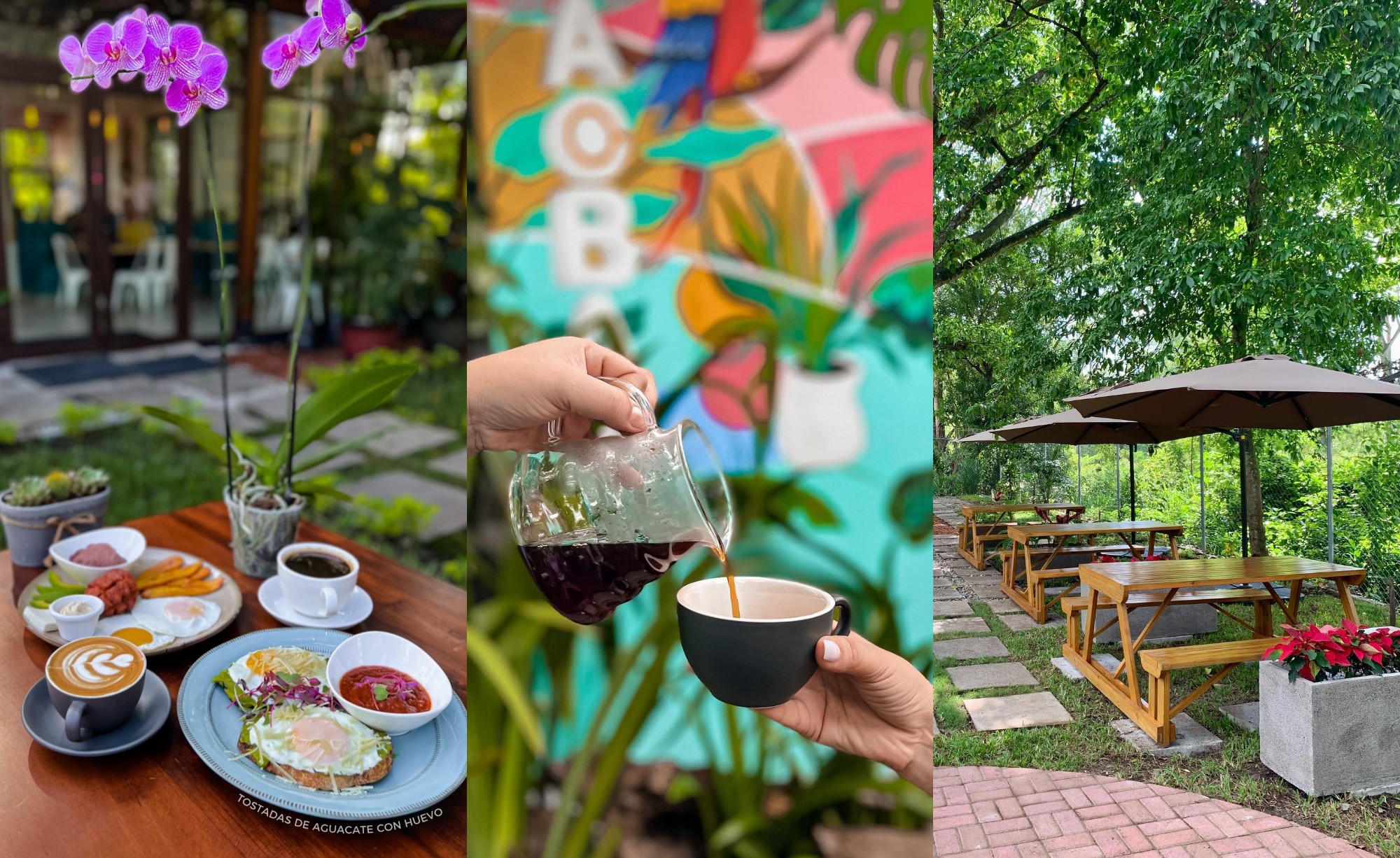 Caobas Vivero & Café, una conexión con la naturaleza en San Pedro Sula